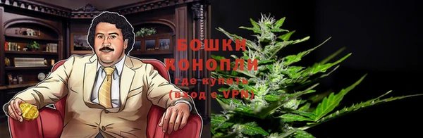 дживик Богородицк