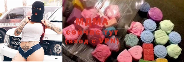 ECSTASY Бородино