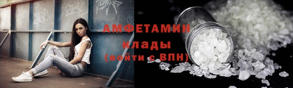 ECSTASY Бородино