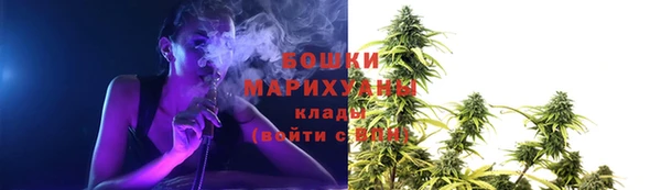 дживик Богородицк
