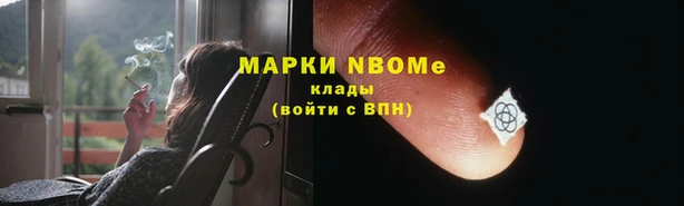 ECSTASY Бородино
