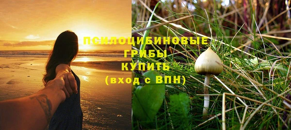 не бодяженный Богданович