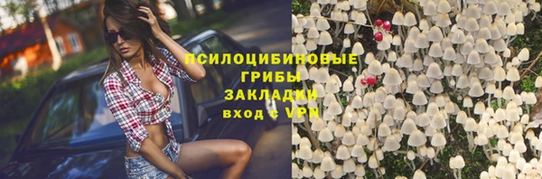 молекула духа Бронницы